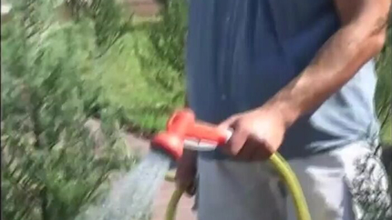 Simony's Gardener Plants His Seed In Her Pussy - Simony Diamond SD (2026)